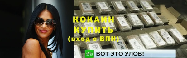 хмурый Каменногорск