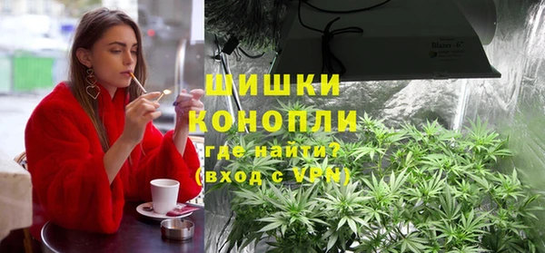 хмурый Каменногорск