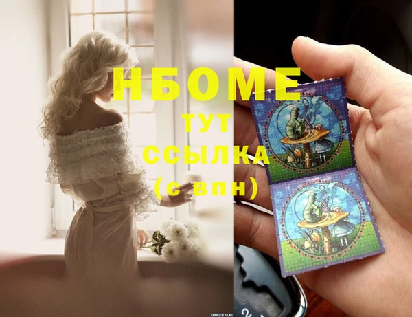 хмурый Каменногорск