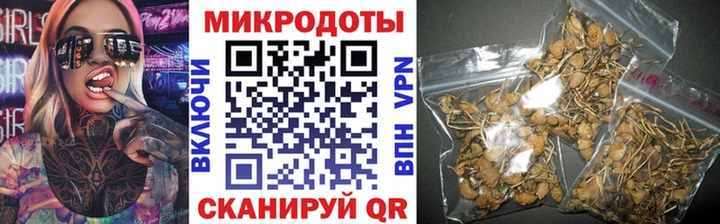 Купить закладки  Жердевка  Псилоцибиновые грибы прущие грибы 